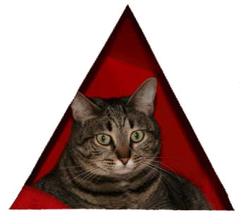 Annie Triangle