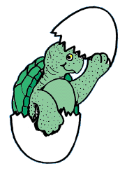 Turtle and egg.