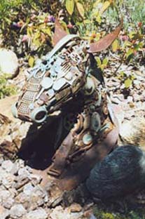 Horsehead jpg