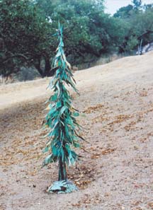 Christmas Tree jpg