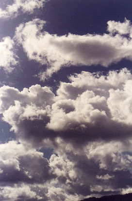  Stratocumulus photo