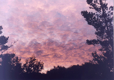 Altocumulus photo