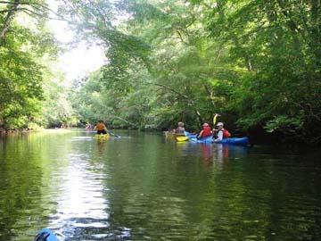 Group on the river jpg